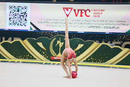 Открытый турнир по художественной гимнастике на призы Олимпийской чемпионки Дарьи Шкурихиной, г. Казань