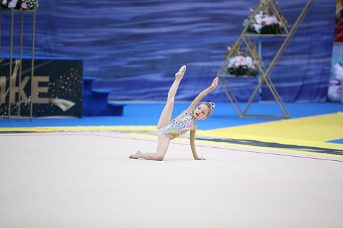 Открытый турнир по художественной гимнастике на призы Олимпийской чемпионки Дарьи Шкурихиной, г. Казань